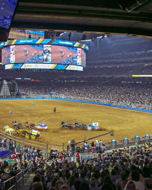 PBR New York City - 2 Day Pass (Saturday & Sunday)