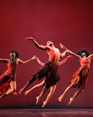 Robyn Orlin New York